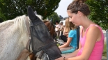 Horse riding (10km)